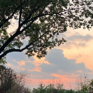 �ճ��������Ϧ�(y��ng)���(d��ng)