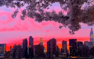 �S�ģ��������ѻ��и��ܴ��������~