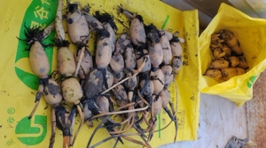 ��ź���Nź��ץС���r~��(l��)�_(k��i)��