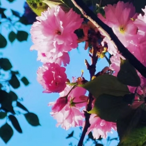 ���_���ڣ�Ը�������ñ������