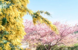 �S���Ĵ򿨣���һǰ��С��Ϣ