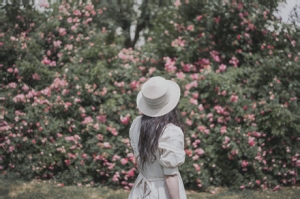 ĺ���\�ģ��Nޱʢ�ţ����g����������