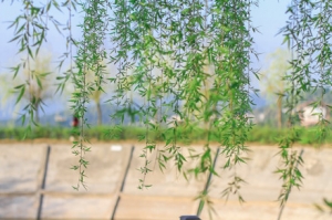 ���µ��������h�����TҪ���ÿ��֣�