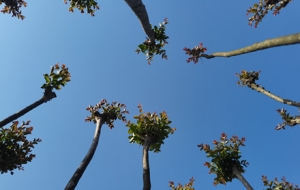 ��ҕ�S�ģ������� ε����^