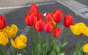 �p�������T Ư�������ͽo��