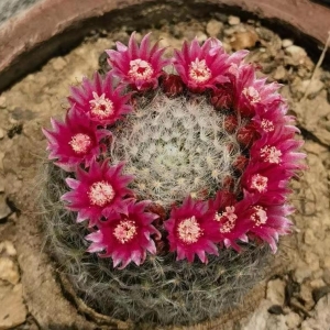 �������_�������һ�Þ�죡