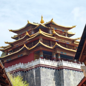 ���l��һ���������{ȥ�������