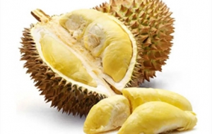 �ޣ����Ϲ��_���X��300����ɏ�]��