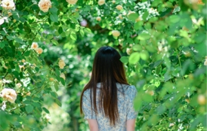 ÿ�����ձش򿨵أ������ɚ��h�h