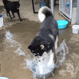 ��һ��Ĳ����������̎��Ċ^��֮·