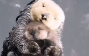 ��������Ӿ��ˮ�H������̫�ɐ���