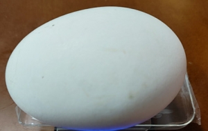 ��������Z�N֮һ��������ĵ��ϷQ����