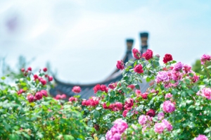 �������Ԍm �@�G�`����������