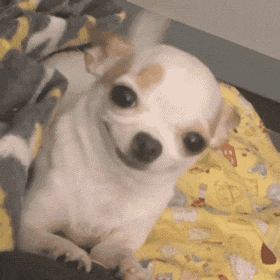 ����ϲ�g�^�����B���ֶ�����