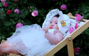 �Nޱ���µ�С���� �ɐ�������