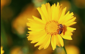 ���u�ճ��ĕr�������_���