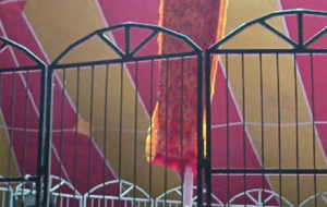 ���l�����ֻ֏��������ğ���������g�sˣҲ��݆������