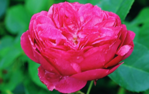 �����S�ģ����֙C�zӰӛ������Ļ���