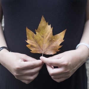 ��������������ҽ��ҽ�ȥ��ԇ�ܣ�