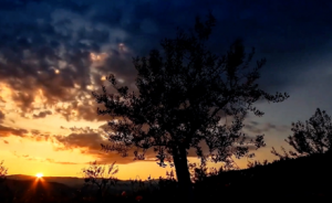 safe for work���m���o���ā� ������