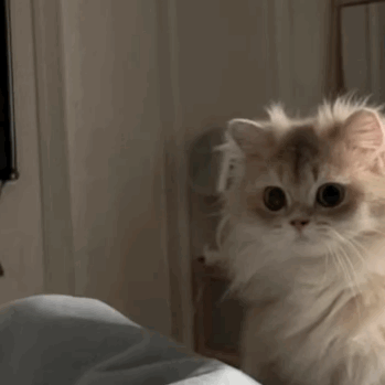 ��˾���˂������㣬��ǰ���ϰ�ģ�����������ֱ...