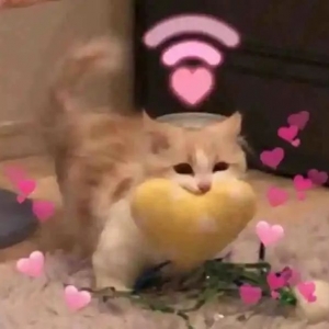 �q����� �@݅�������\������ʲô��