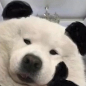 2023���ҵ�����զ��Ŷ