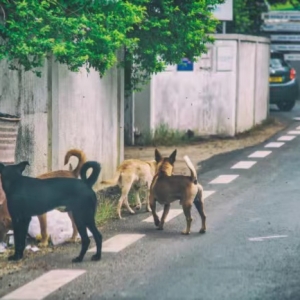 С�^���˹���Ⱥ ��ԓ��ô׌�ˁ�ץ��