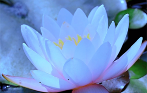 �����`�ŵ�˯ɏ �k�����