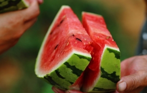 ���������L���G���͵��߹��ÿ��ֺó�