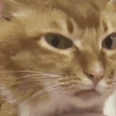 ΢�š�֧�������¹����ˣ������Òߴa���֙C�����Բ���