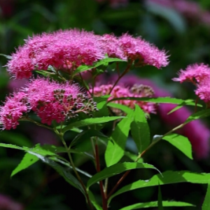 �ۻ��C���գ�����o�����pҲҪ���Էҷ�