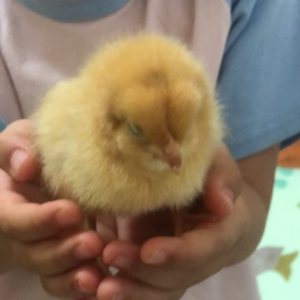 6�qŮ���I��ֻС�u���ܮ������B�᣿