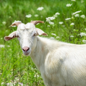 �k������ȫ��ˣ���֪�����Л]�С���