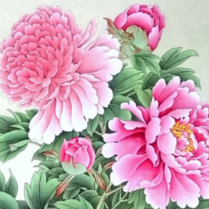 �W�ѹ��P�����������_���F