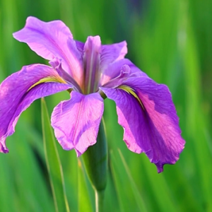 �Sβ��������һ�仨�_�܉�������