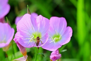 ����ץ�ģ���Ҋ���c�۷�