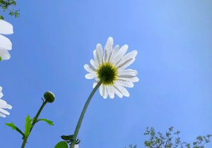 ��һ�N����С�r�գ����Ļ��Zϣ��