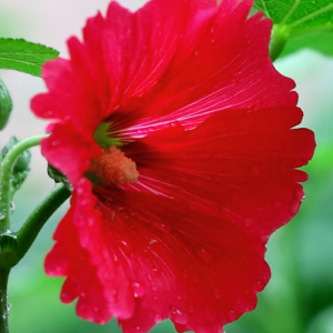 �������|�����`�����ɣ��������в����