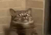 �������ڣ����w���m���t����Ȼ߀Ҫ���x�F�M