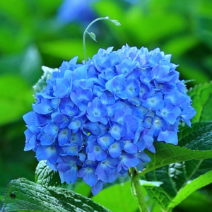 �ڻ��ݵ�������ҿ�����ȫ�ǿ옷