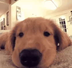 ����Ůͬ�³����Ͽ��ˣ�ԭ�����u...