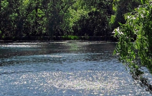 �������Ե����� ������ؓ����