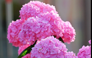 �C���p�ɱ��� �G���A��