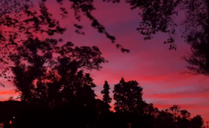 ����㿴�����գ�ֻՄ΢�L����ϼ