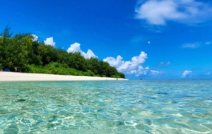 ȥ�����ɣ�׷һ����������