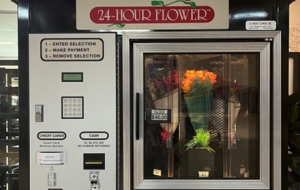 ����������һ�� �r��ռ���