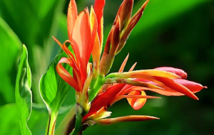 Ը������L�����������еğ���