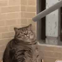 �f�ˎ׾����ŵĴ����}����ֱ�Ӛ����ң����������e��