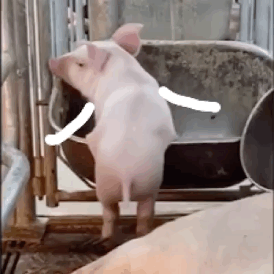  ��ͬ���f�����ӏđ��е�����Ҫ�ʂ�ʮ�f����꣡�Ү��r�Ż��ˎ�ǧ